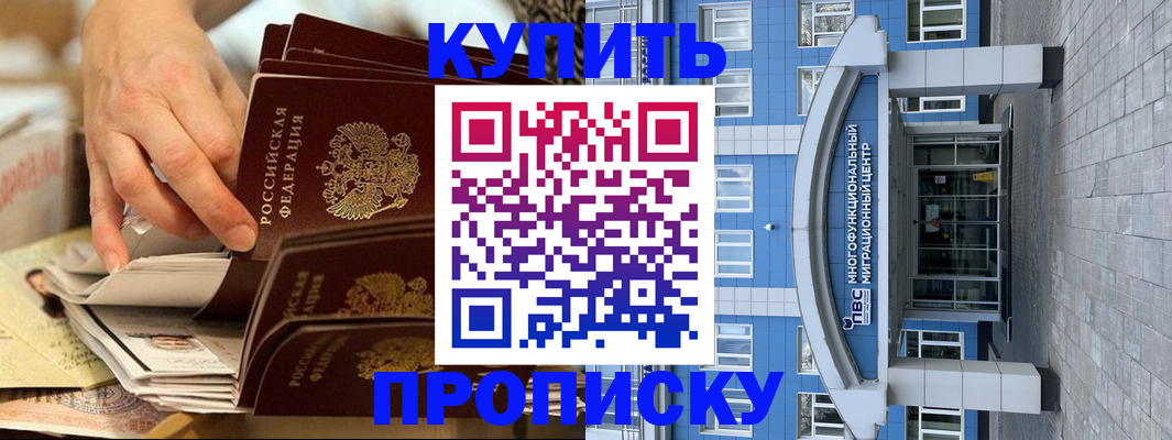 прописка гарантия в Красноармейске